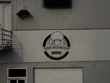 Hiwa Mushroom Farm