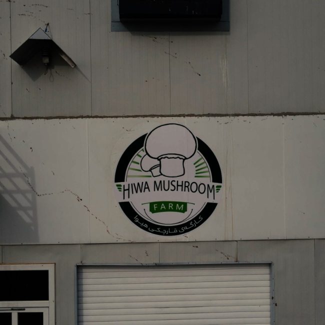 Hiwa Mushroom Farm