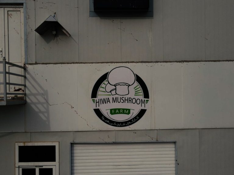 Hiwa Mushroom Farm