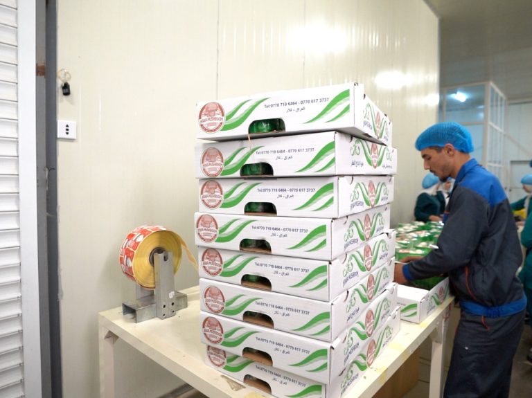 Hiwa Mushroom Farm