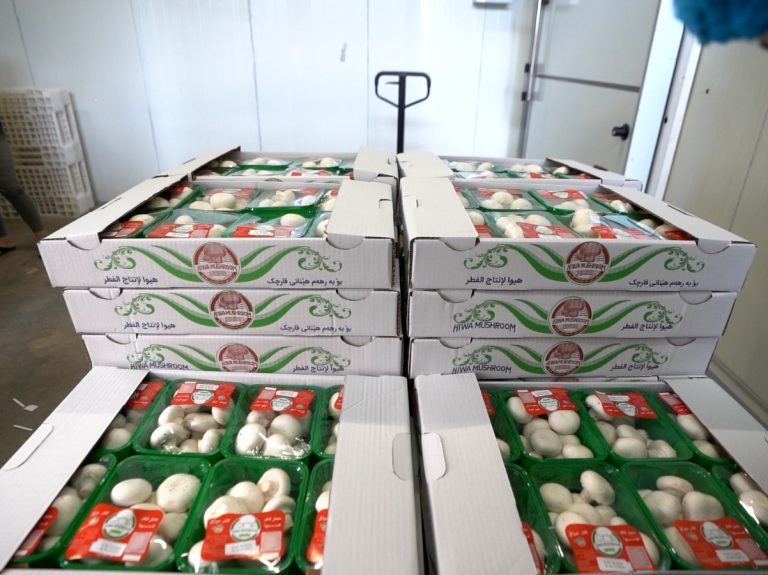 Hiwa Mushroom Farm