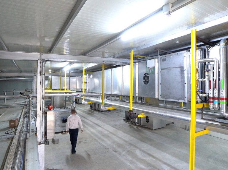 Hiwa Mushroom Farm