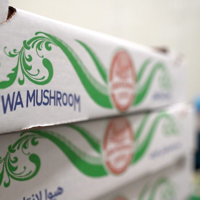 Hiwa Mushroom Farm