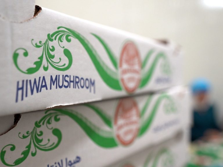 Hiwa Mushroom Farm